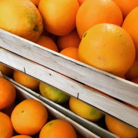 Italienische Orangen zur Saison bei der Kleinen Feinschmeckerei Durlach